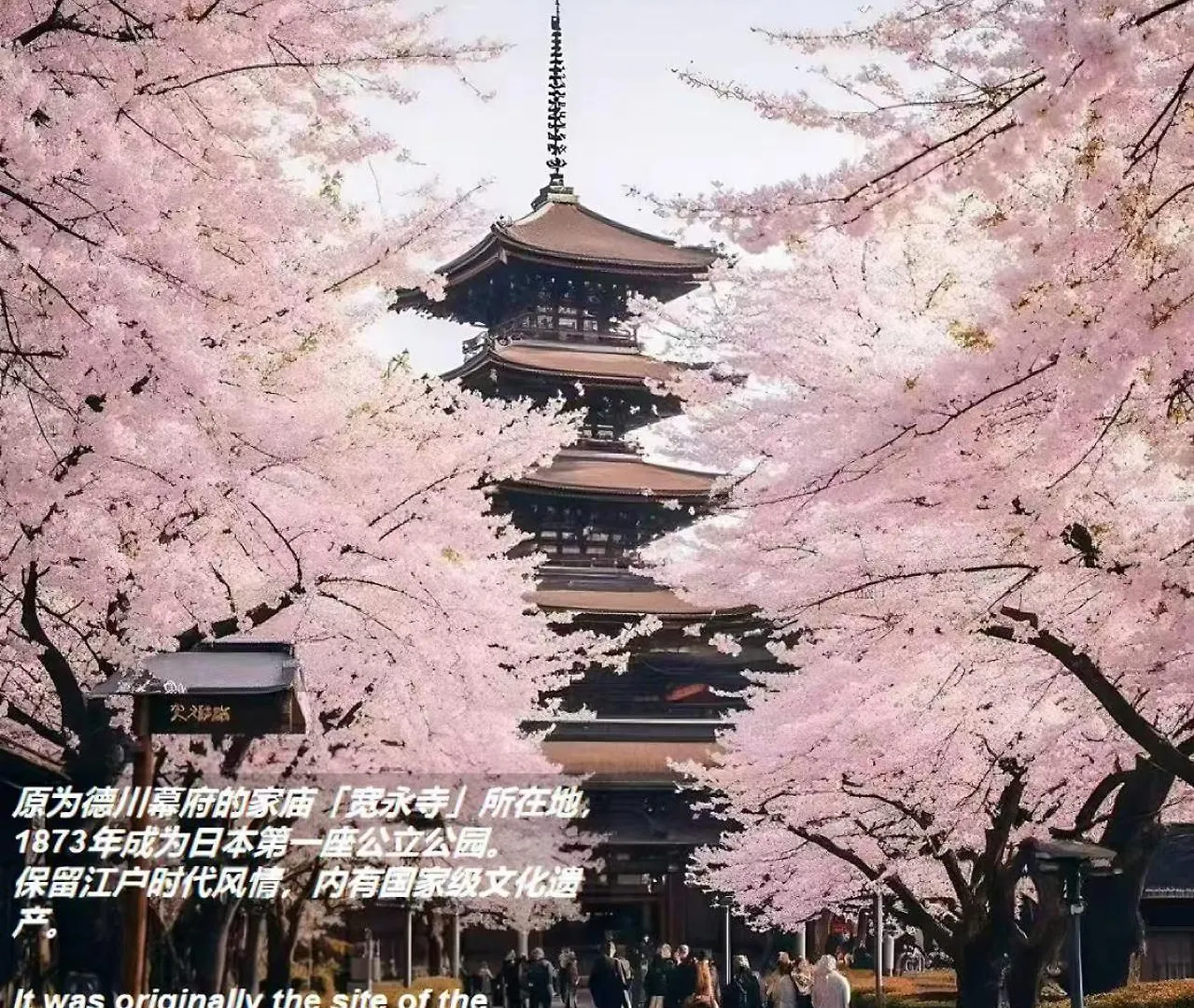 桜の川17 Ueno 5Mins Ueno Zoo Three Storey Detached House More Then 13 People 東京都 0*,