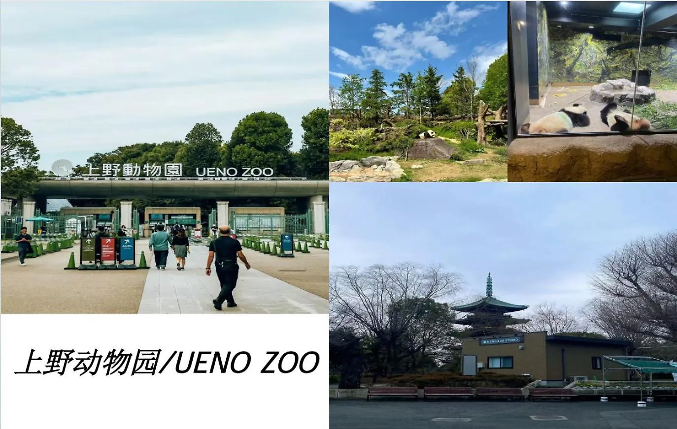 桜の川17 Ueno 5Mins Ueno Zoo Three Storey Detached House More Then 13 People Tokyo 0*,
