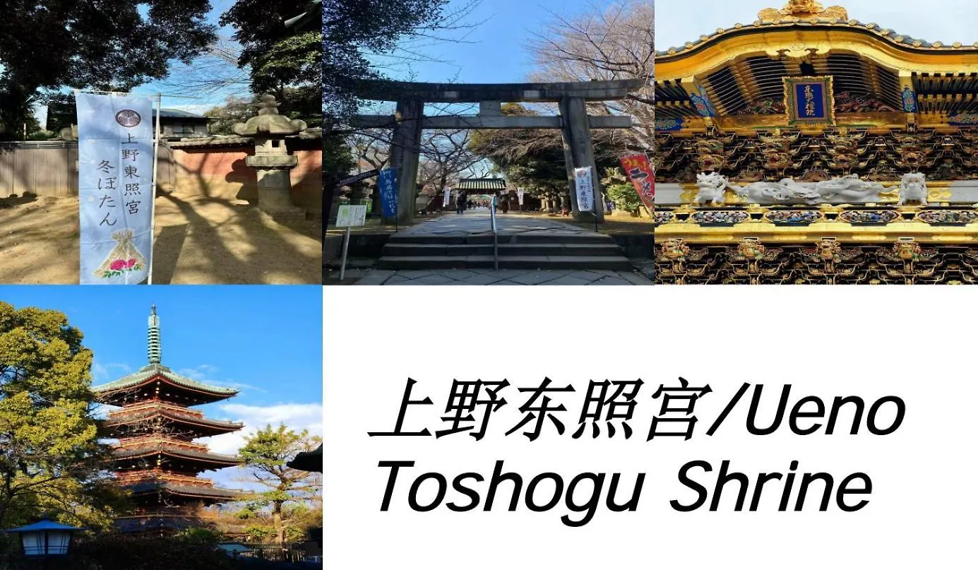 桜の川17 Ueno 5Mins Ueno Zoo Three Storey Detached House More Then 13 People Tokyo Villa