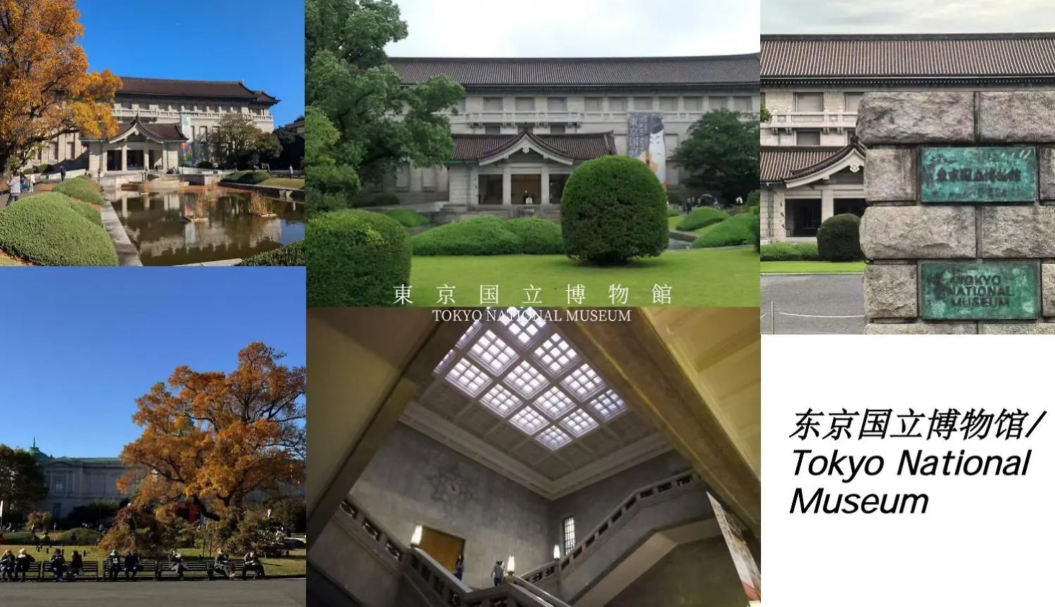 桜の川17 Ueno 5Mins Ueno Zoo Three Storey Detached House More Then 13 People Tokyo Villa