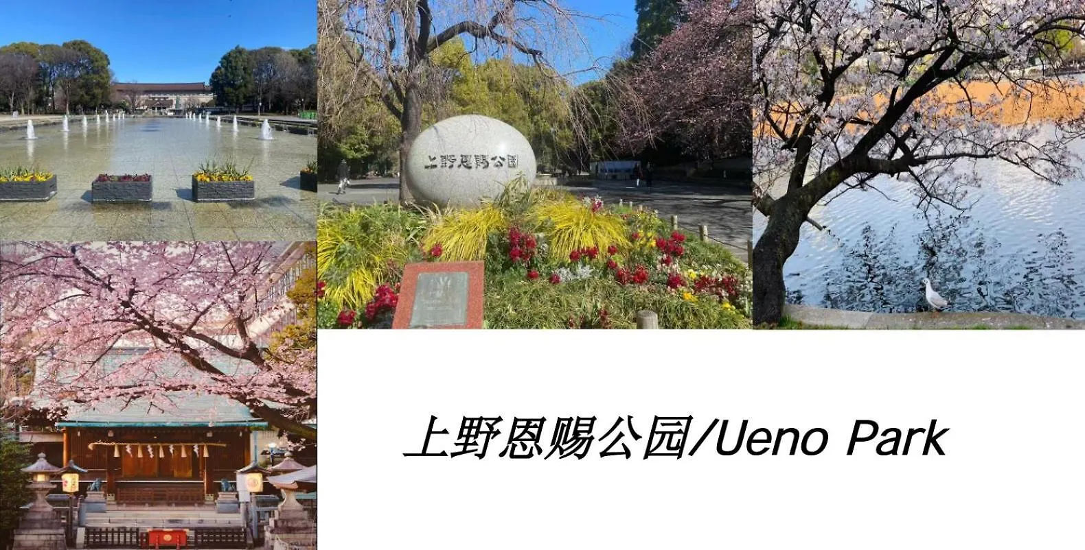 桜の川17 Ueno 5Mins Ueno Zoo Three Storey Detached House More Then 13 People Tokyo 0*,  Japan