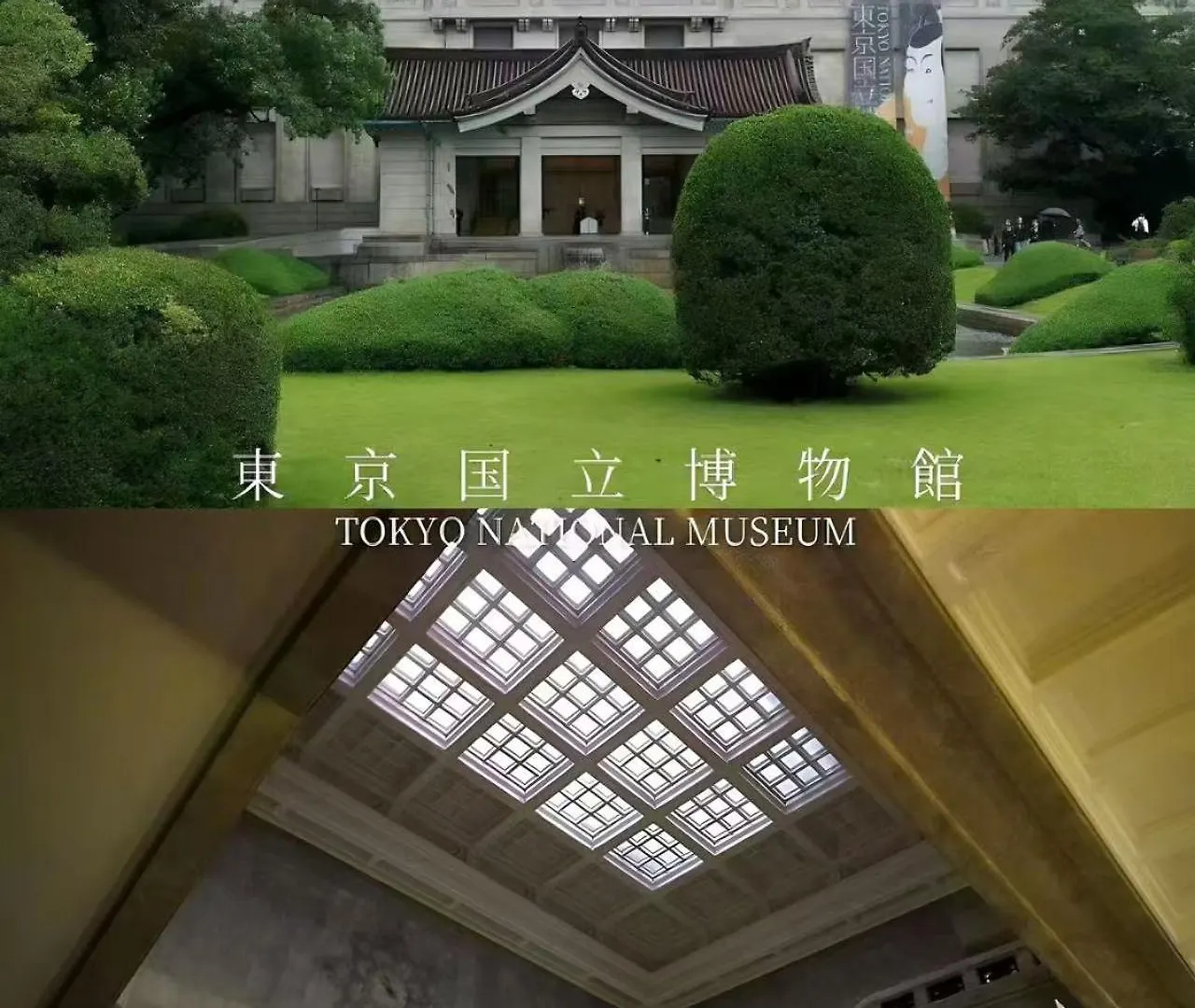 桜の川17 Ueno 5Mins Ueno Zoo Three Storey Detached House More Then 13 People Tokyo Japan